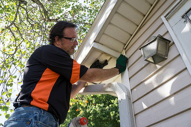 Best Siding Painting and Refinishing  in Occidental, CA